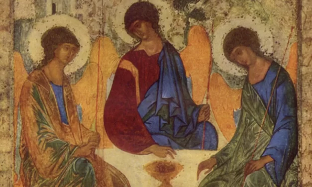 La Santissima Trinità rivela l’intima origine della Chiesa