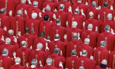 I nuovi cardinali inseriti nella sinfonia della sinodalità