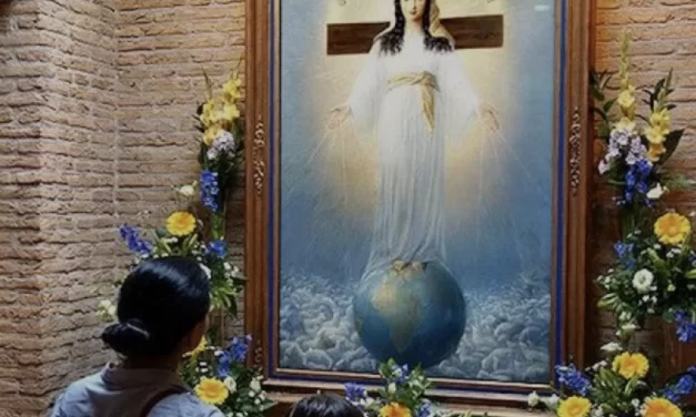 Le Apparizioni di Amsterdam: Un riferimento spirituale da correggere e accompagnare pastoralmente