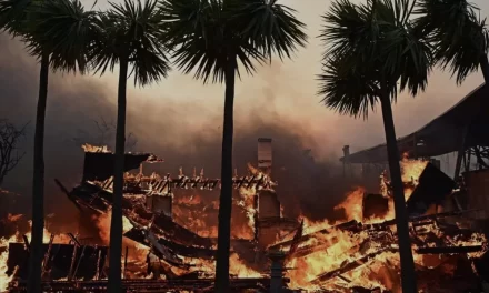 I recenti incendi in California: cause, polemiche politiche e questioni ambientali