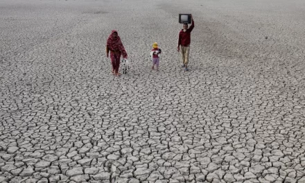 Crisi climatica e migrazioni: il legame che non possiamo più ignorare