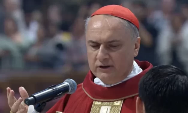 Nove giorni di preghiera per accompagnare un Papa