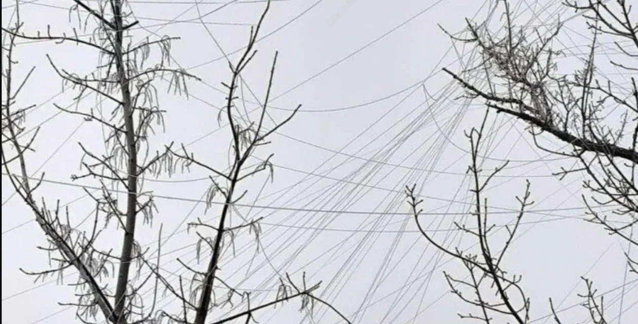 Le scie invisibili della guerra: i fili di plastica che soffocano l’Ucraina