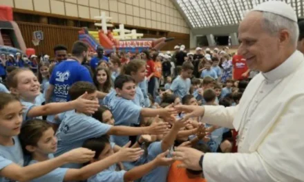 Quando la tutela dei piccoli diventa criterio della Chiesa