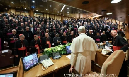 Un Papa che parla al mondo digitale