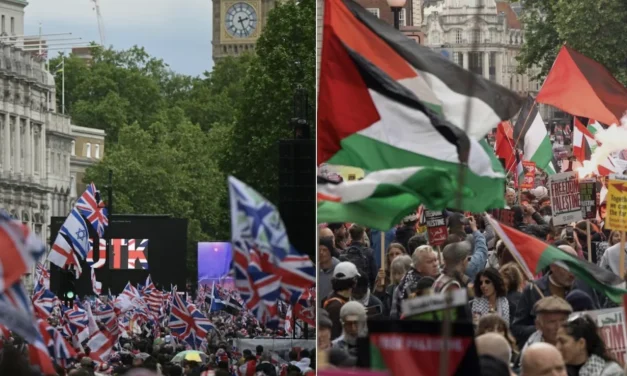 Manifestazioni politiche a Londra dal doppio colore