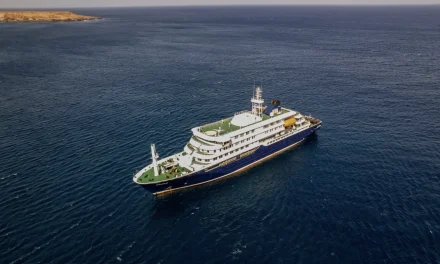 La nave e l’hantavirus
