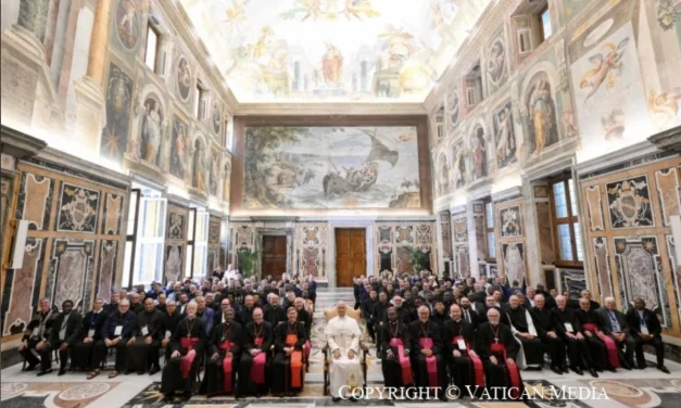 Leone XIV alle Pontificie Opere Missionarie: la missione guarisce un mondo ferito da guerre e divisioni