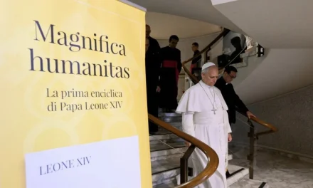 Temi di etica della pace e di teoria della pace in Magnifica Humanitas