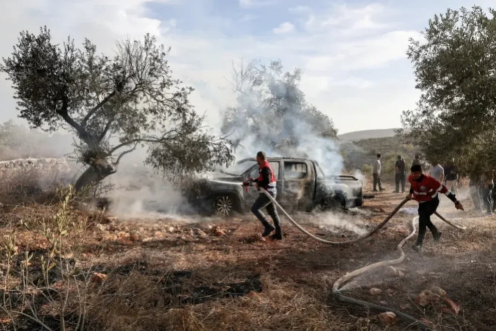oliveti palestinesi devastati