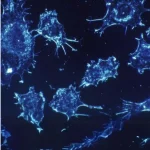 Il piccolo che può cambiare la cura: RNA e nanotecnologie contro i tumori