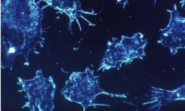 Il piccolo che può cambiare la cura: RNA e nanotecnologie contro i tumori