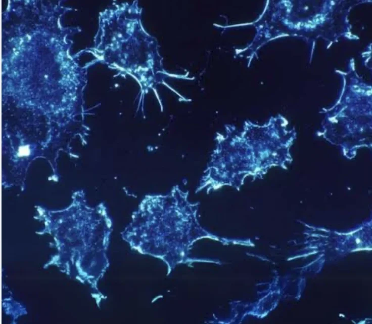 Il piccolo che può cambiare la cura: RNA e nanotecnologie contro i tumori